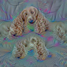 n02102177 Welsh springer spaniel